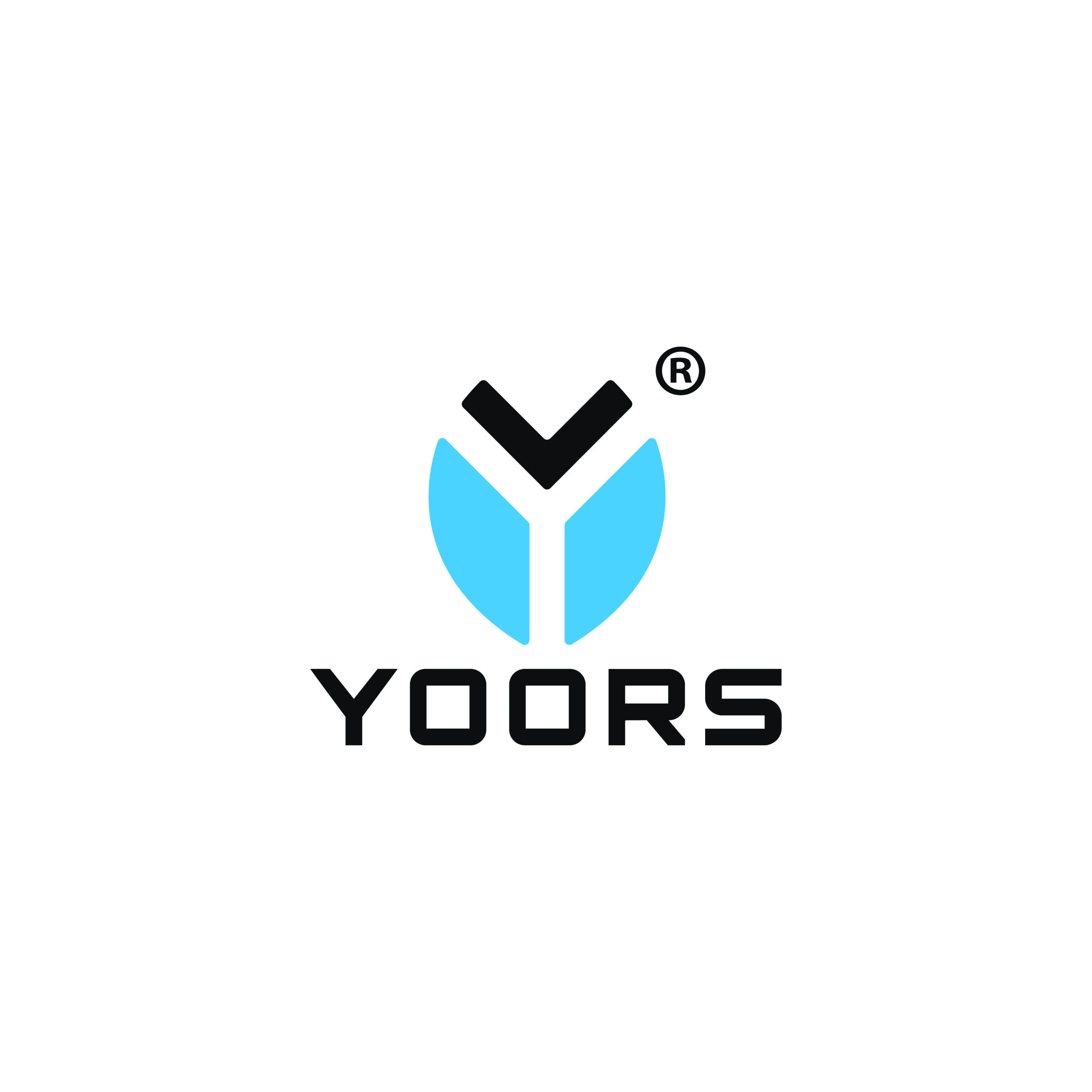 Logo With version